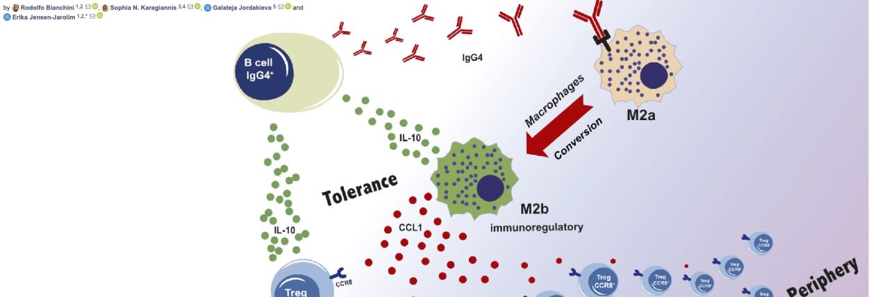 Impfung und Auswirkungen auf das Immunsystem