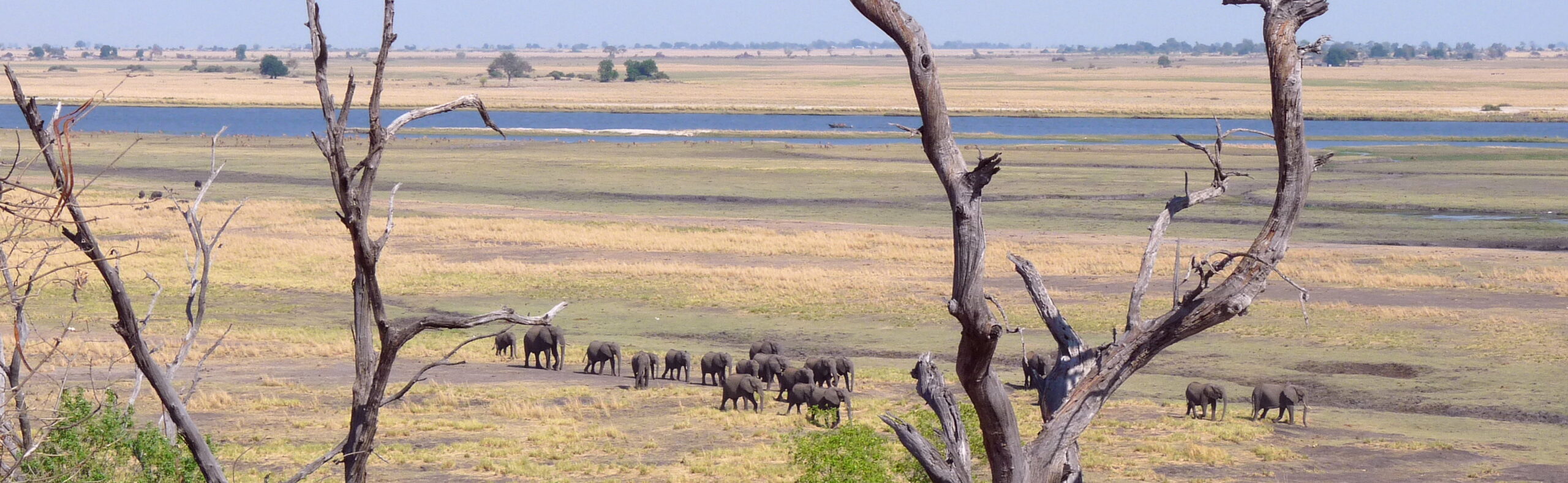 Patienten unter Druck